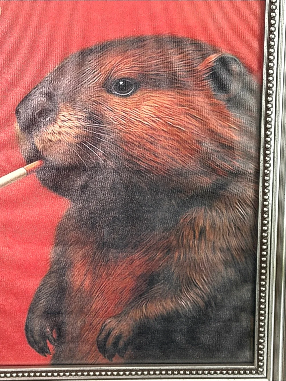 Beaver Smoking a Cigarette Quirky Woodland Animal Canvas Art Print Framed Art